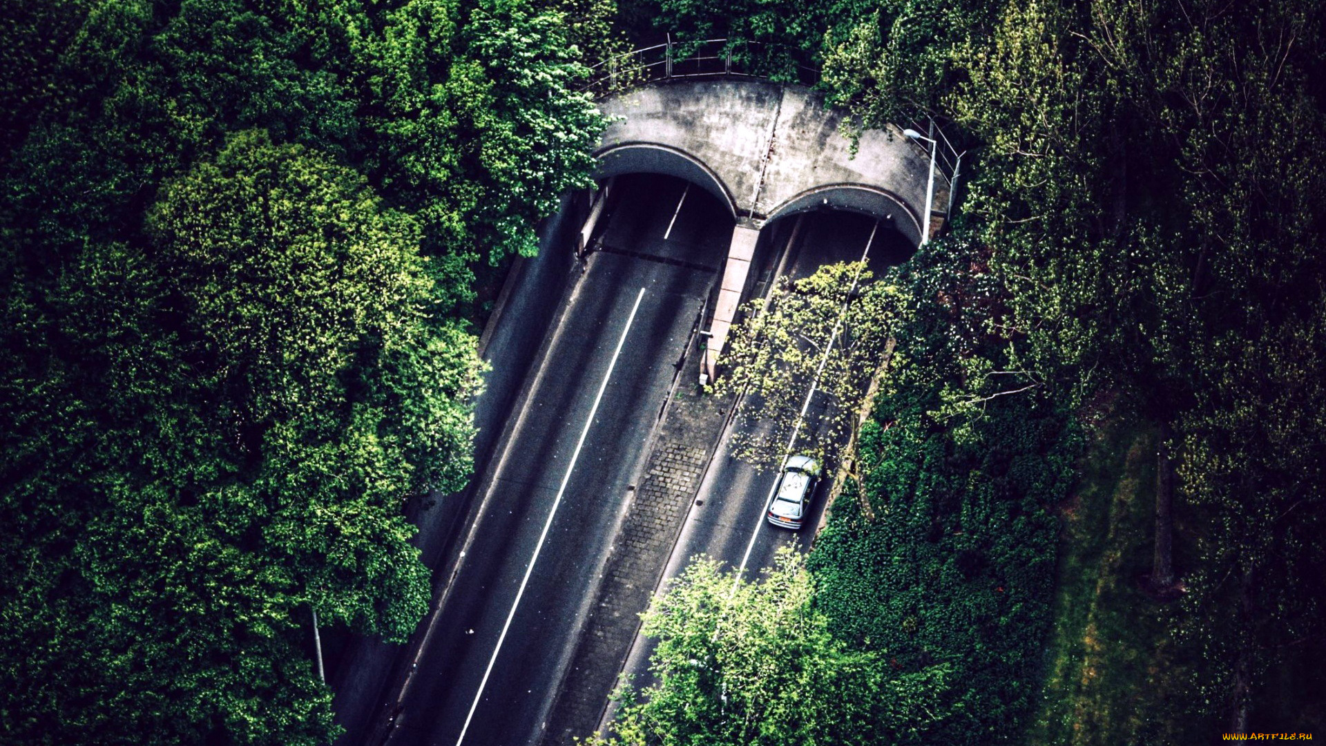 природа, дороги, шоссе, туннель