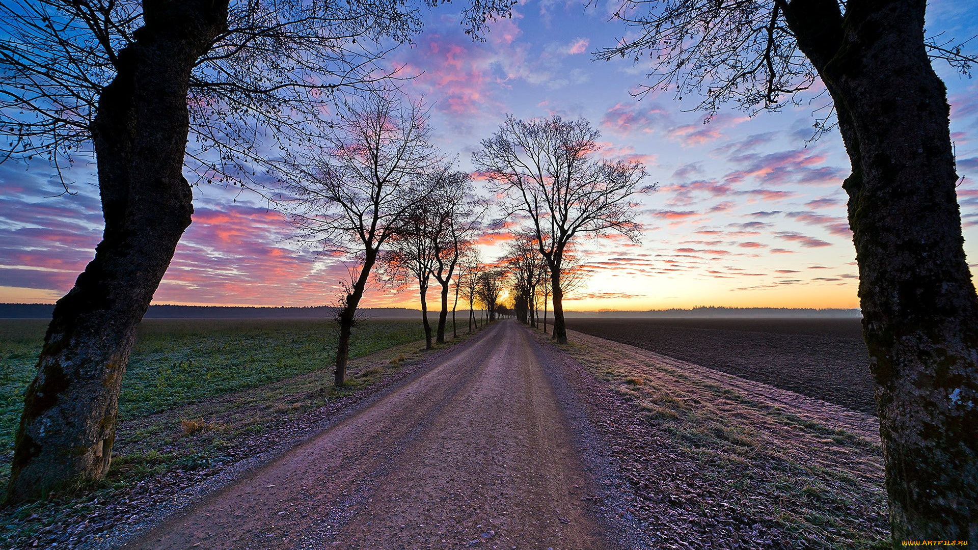 природа, дороги, вечер, дорога, проселочная