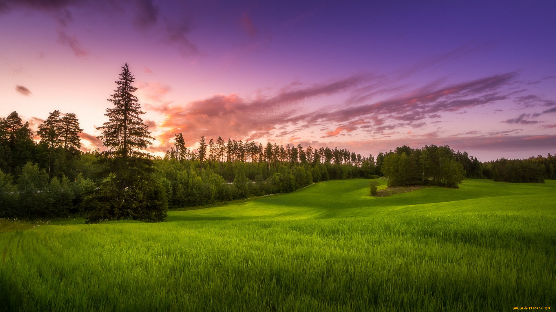 природа, пейзажи, простор