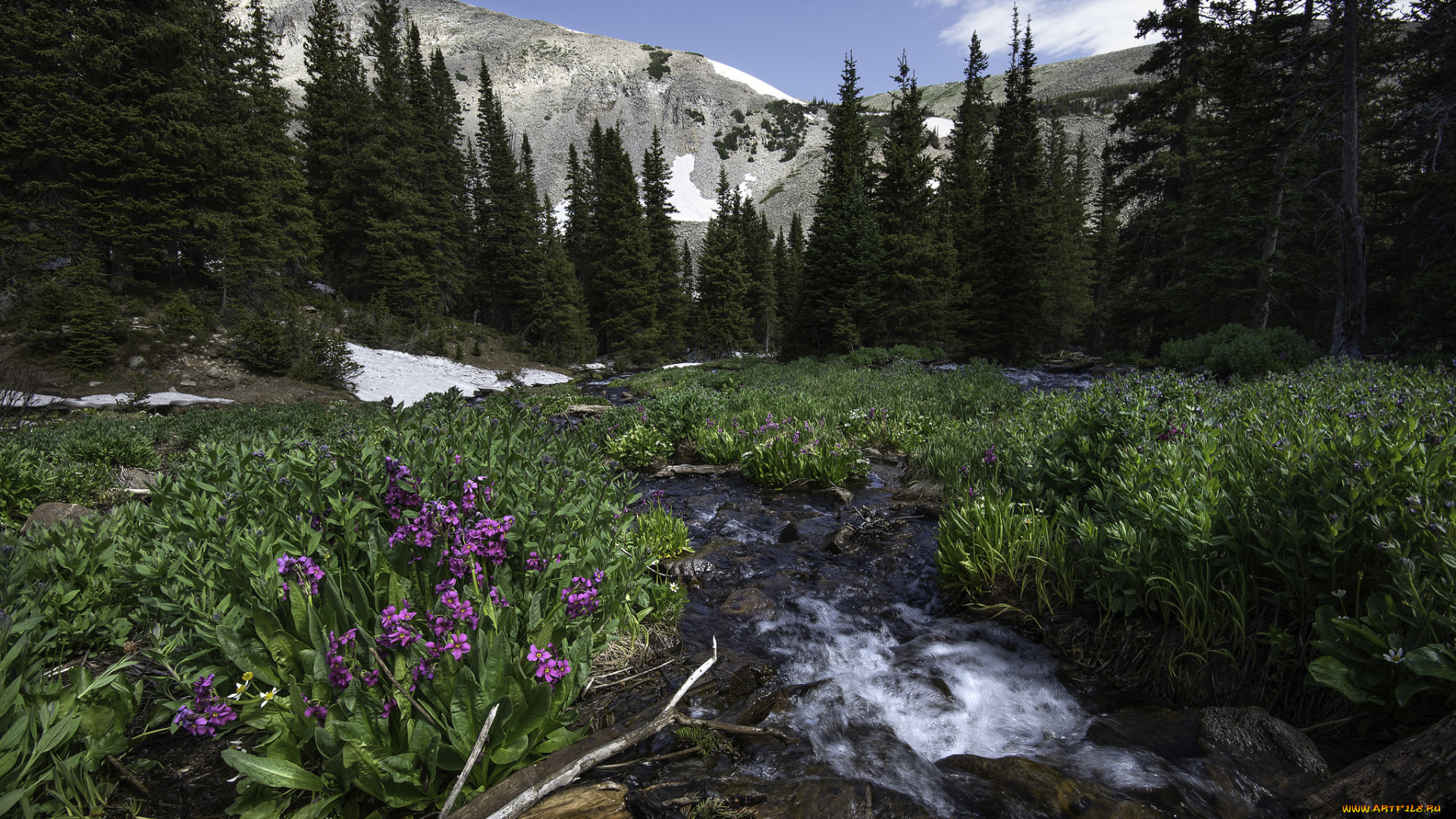 природа, пейзажи, простор