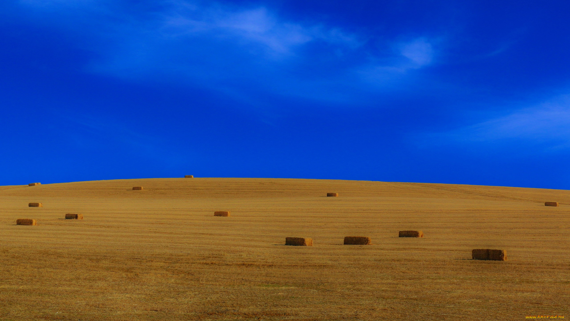 природа, поля, стога, поле, небо