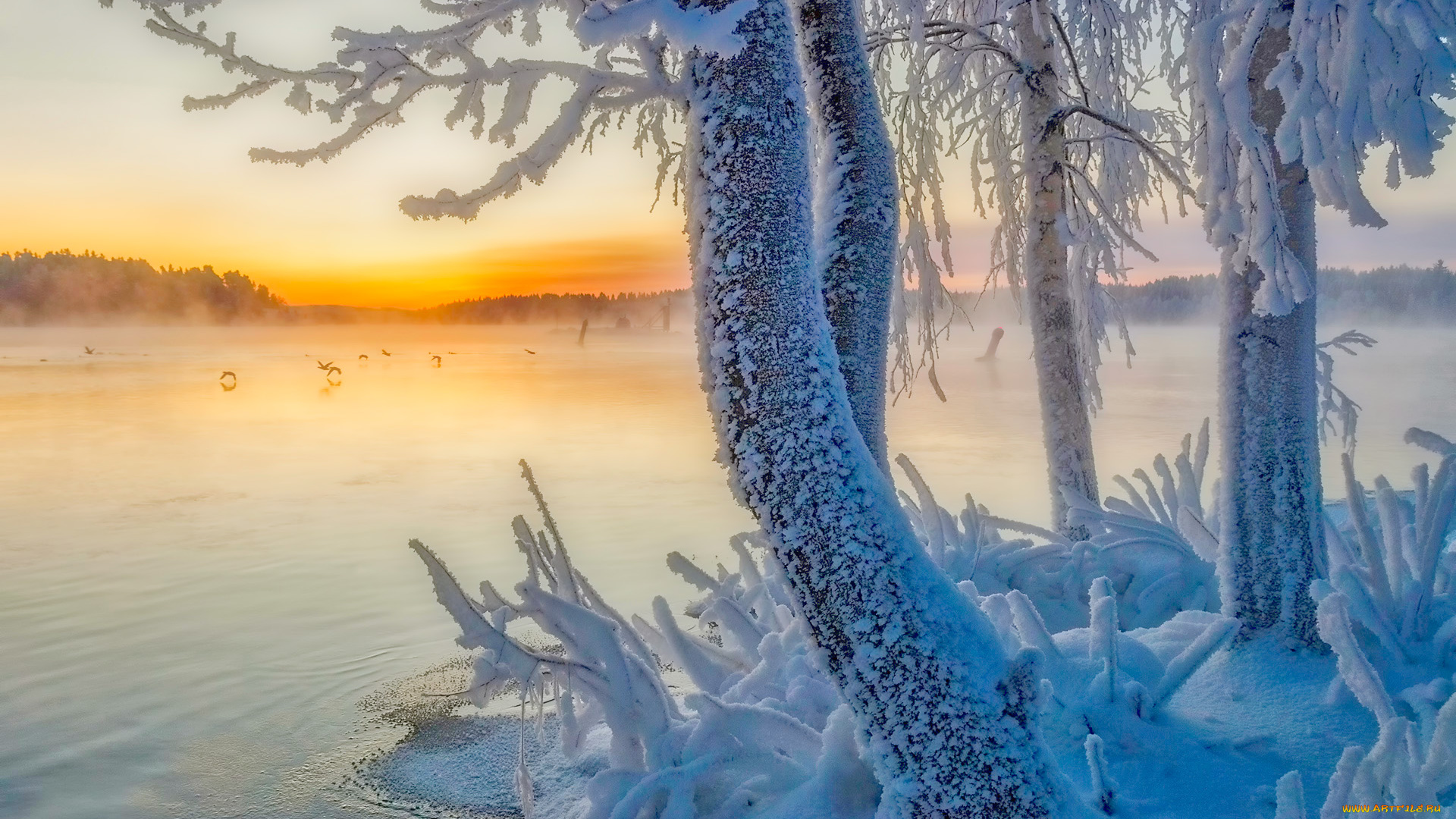 природа, зима, простор