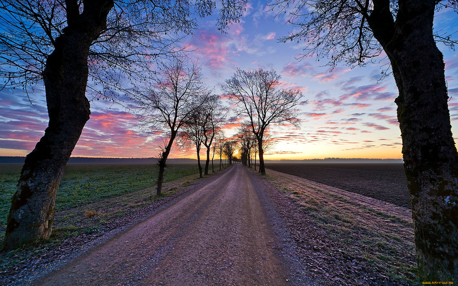 природа, дороги, вечер, дорога, проселочная
