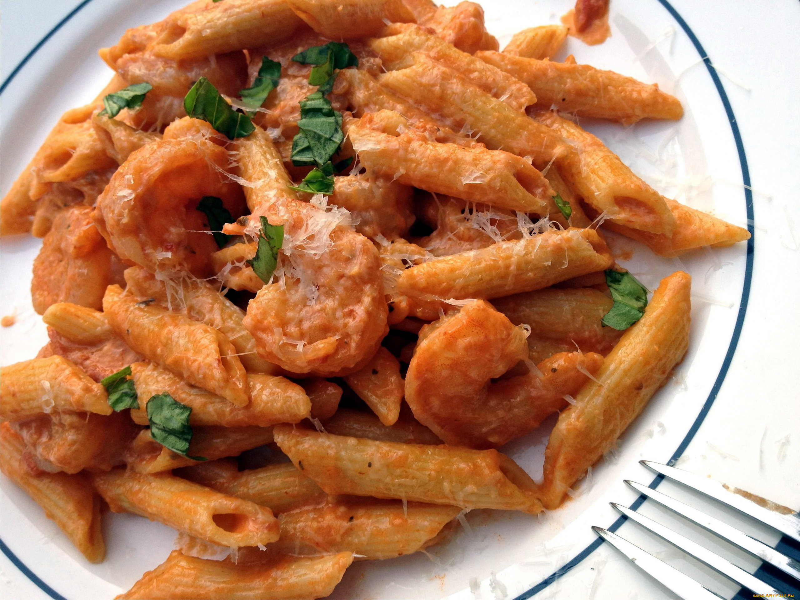 еда, макаронные, блюда, перья, макароны, паста