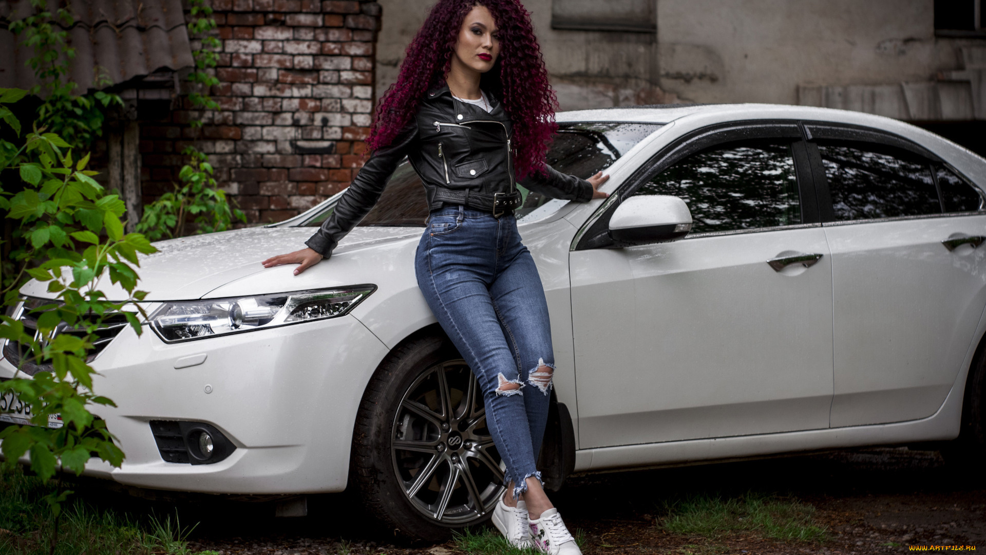 автомобили, -авто, с, девушками, honda, accord