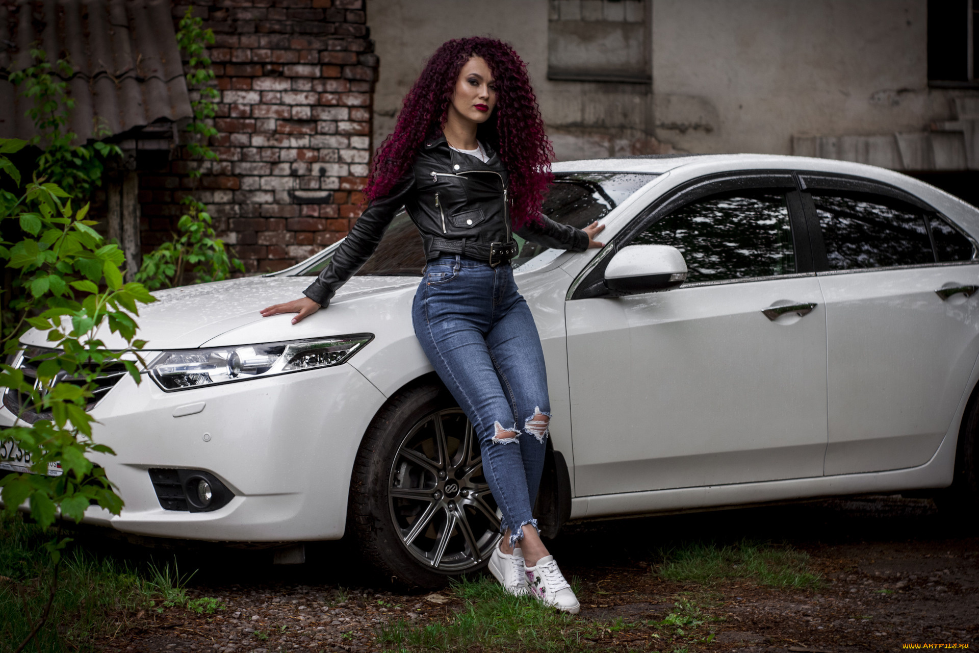 автомобили, -авто, с, девушками, honda, accord