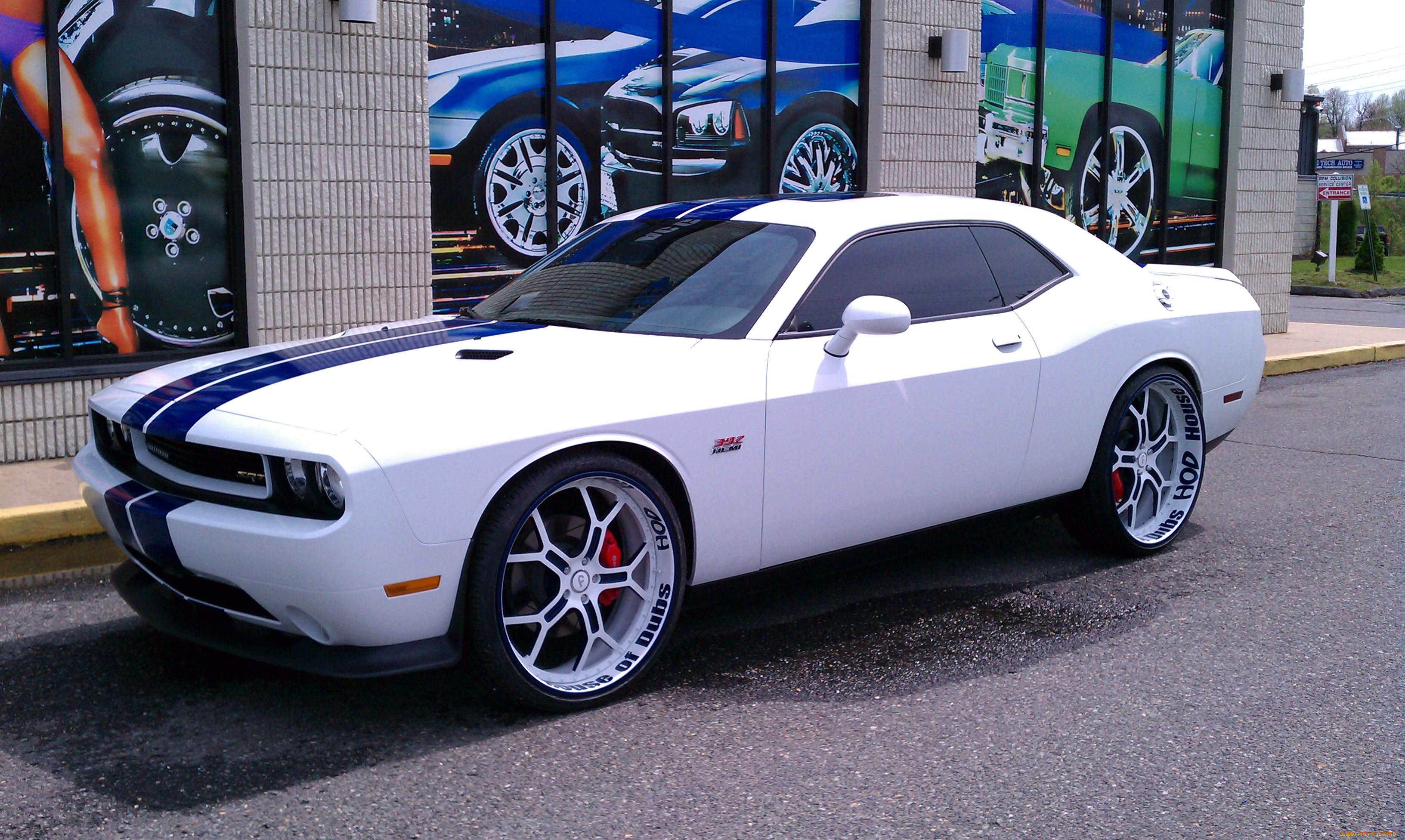 dodge, challenger, автомобили, выставки, и, уличные, фото, dodge, challenger, этот, паренёк, любит, утроить, классное, жогово