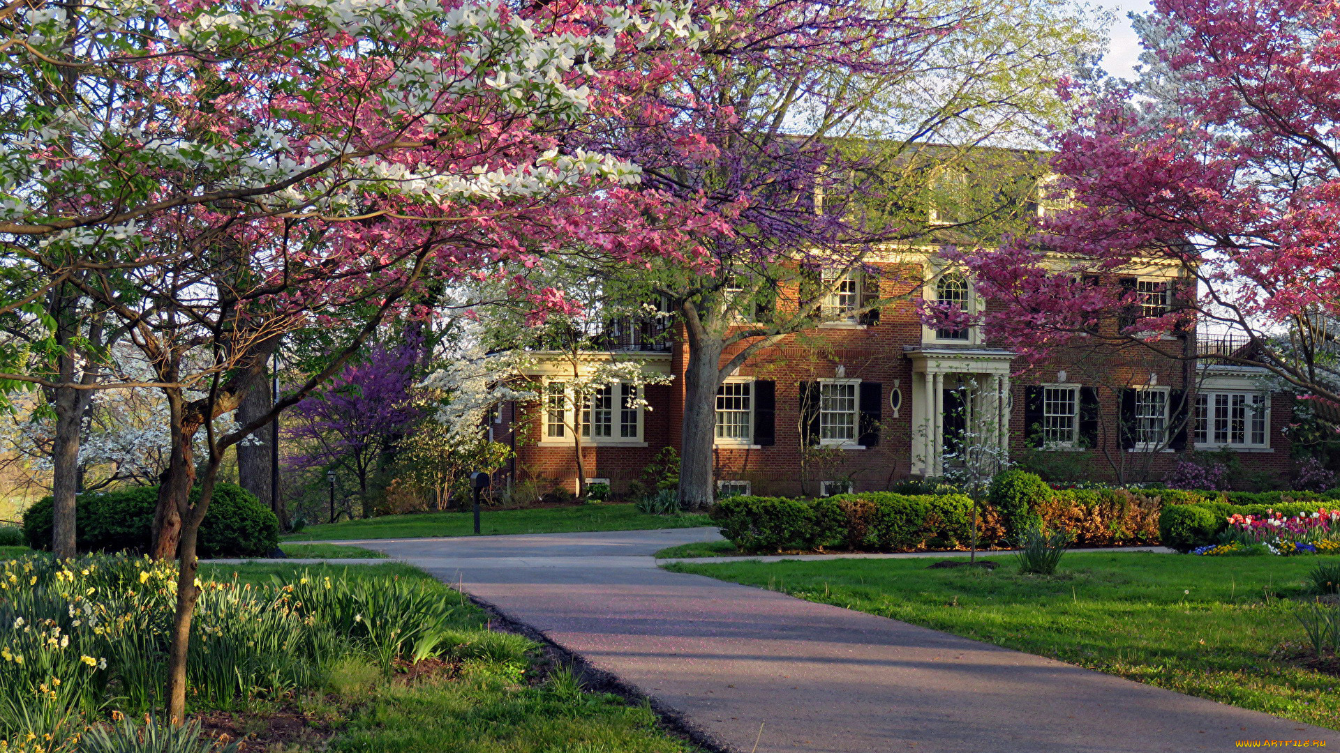 города, -, здания, , дома, особняк, цветы, весна