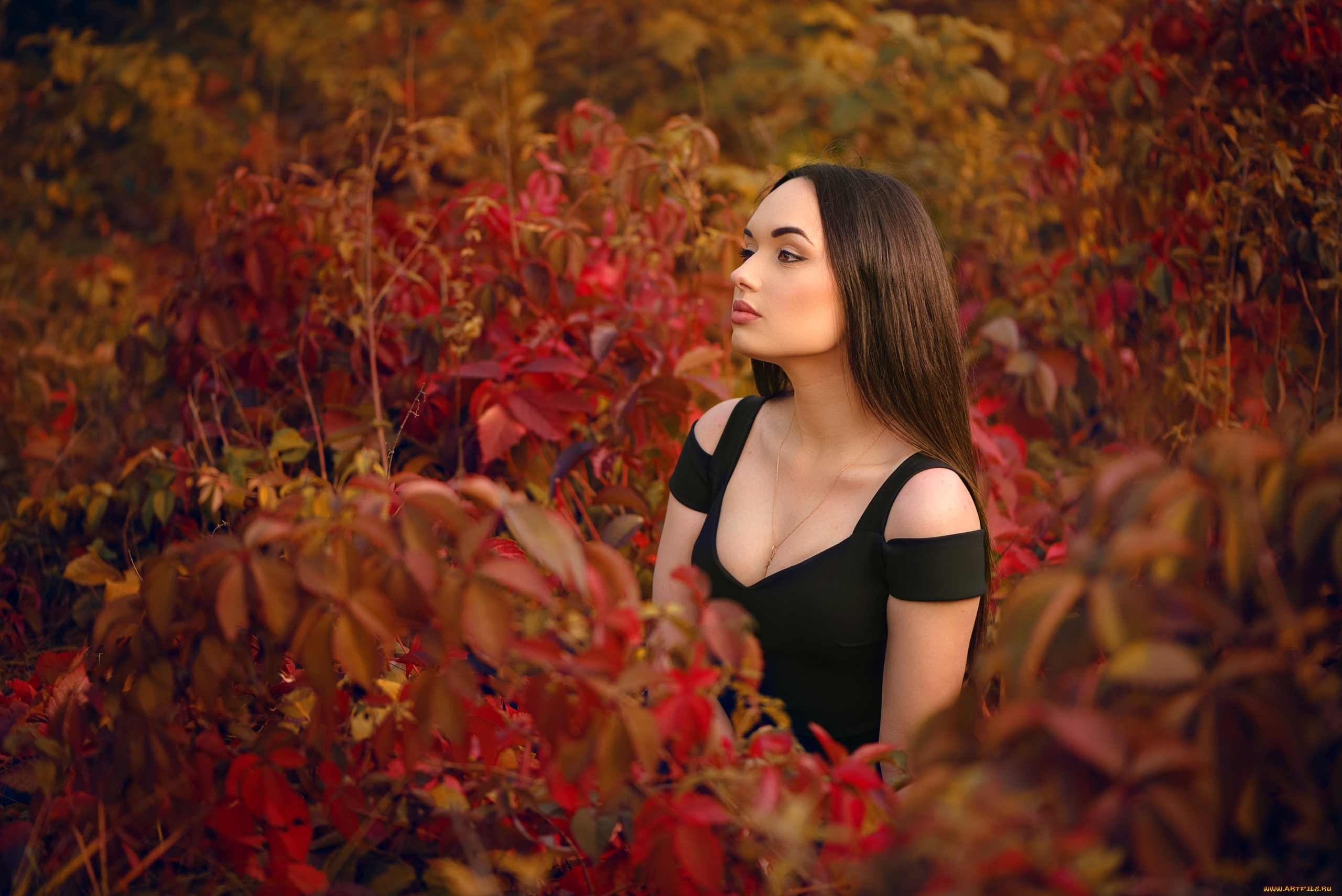 девушки, -, брюнетки, , шатенки, девушка, красивая, супер, секси, няша, нежная, классная, модница, лапочка, мадам