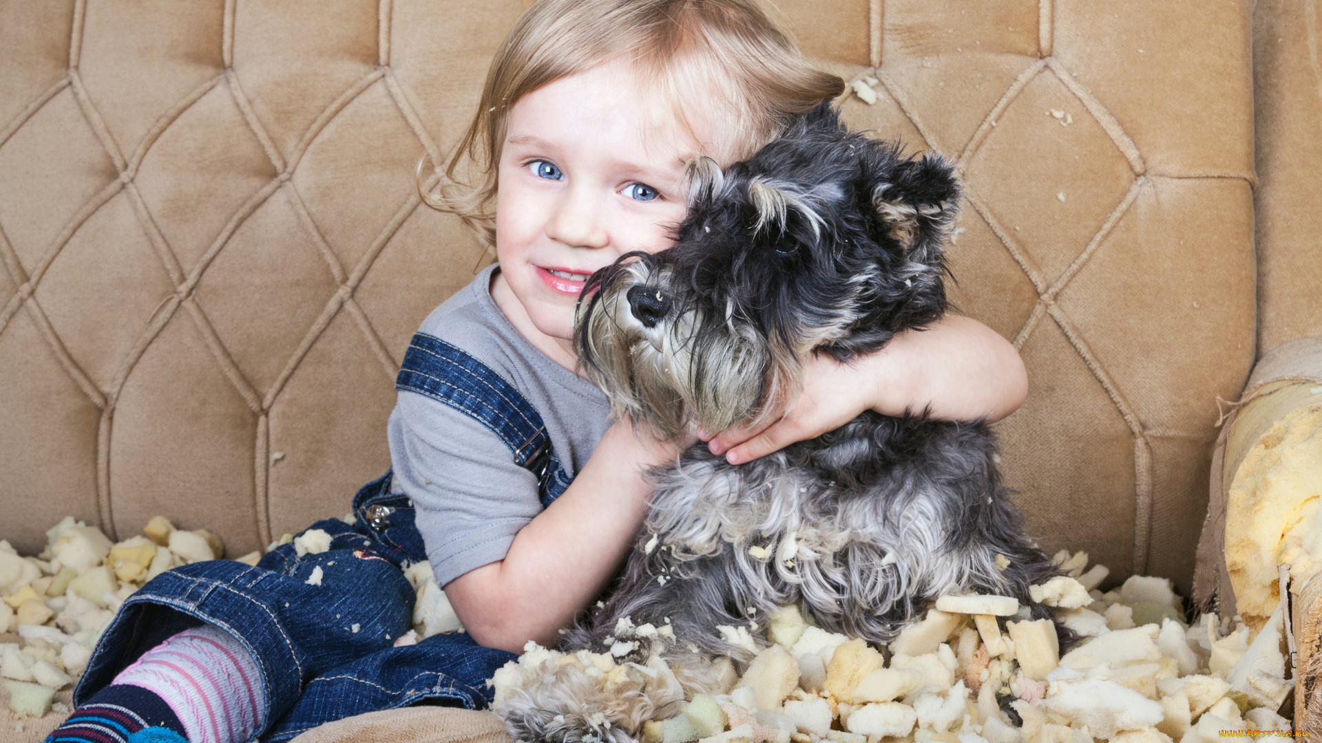 разное, дети, ребенок, собака, диван