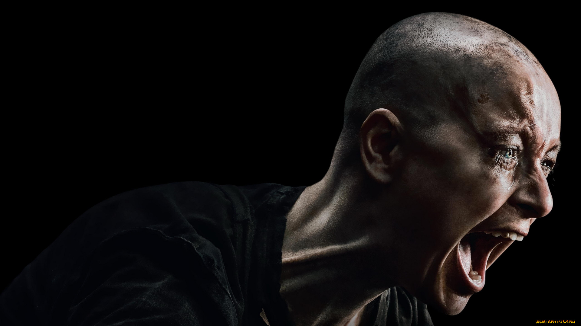 samantha, morton, alpha, кино, фильмы, the, walking, dead, samantha, morton