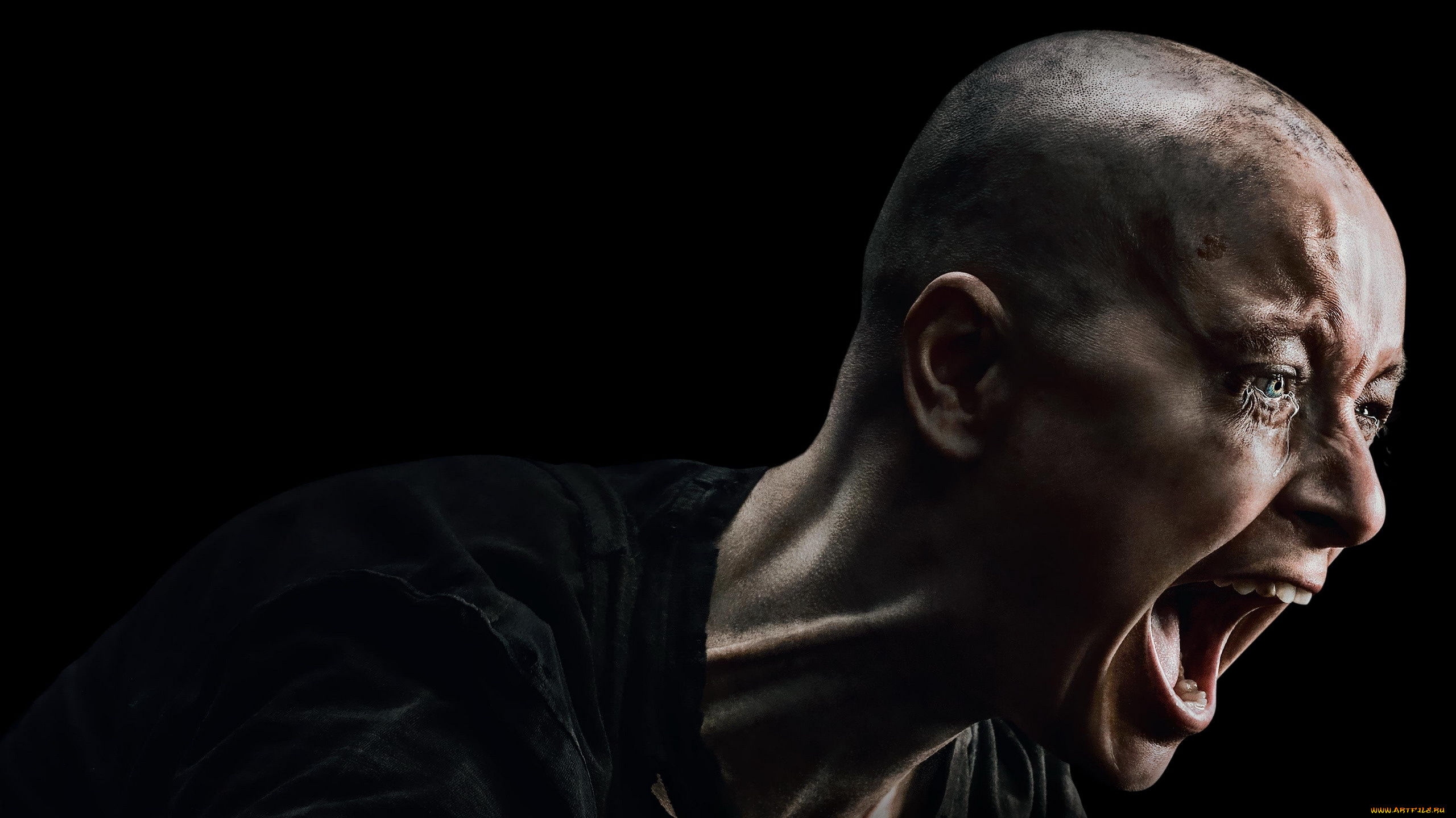 samantha, morton, alpha, кино, фильмы, the, walking, dead, samantha, morton