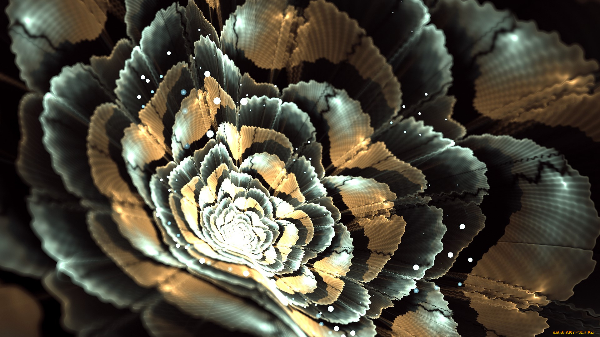 3д, графика, цветы, , flowers, цветок, свет