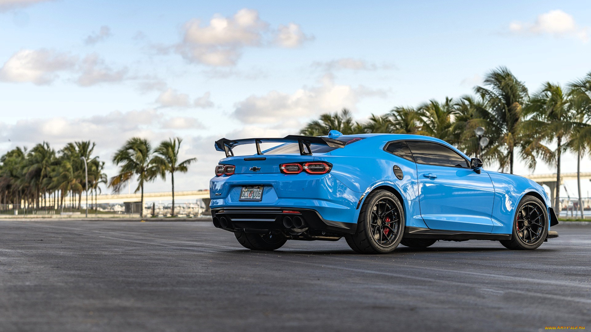 chevrolet, camaro, автомобили, camaro, голубой, дорога, пальмы
