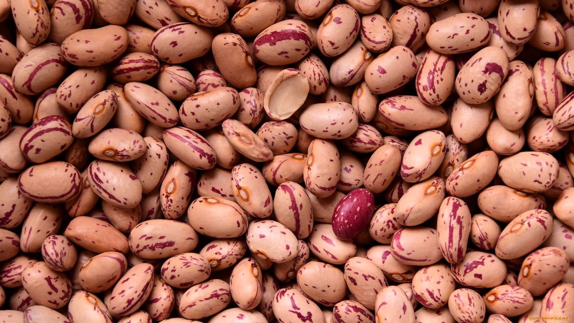 еда, бобовые, фасоль, россыпь