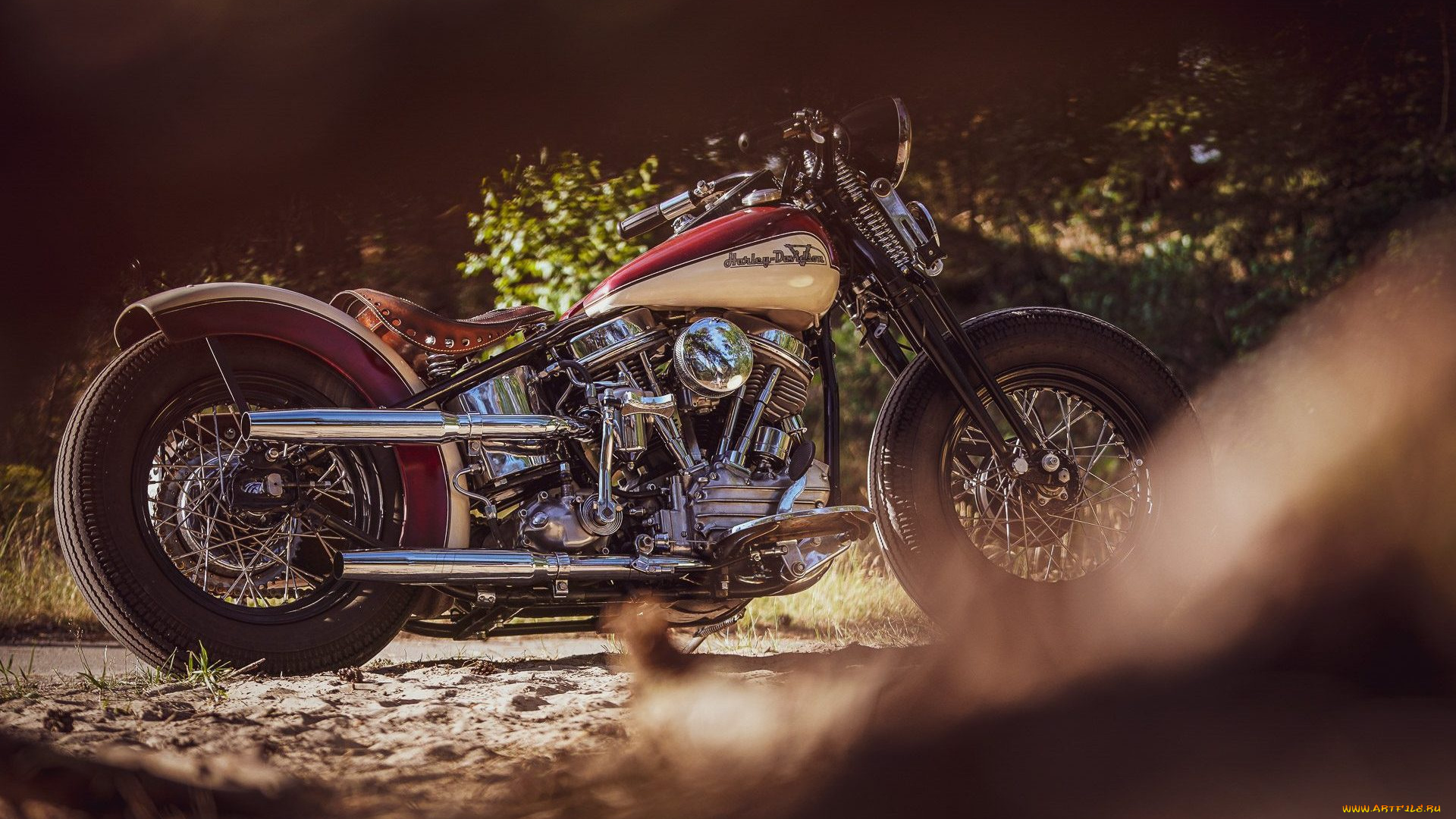 харлей, мотоциклы, harley-davidson, мотоцикл, байк