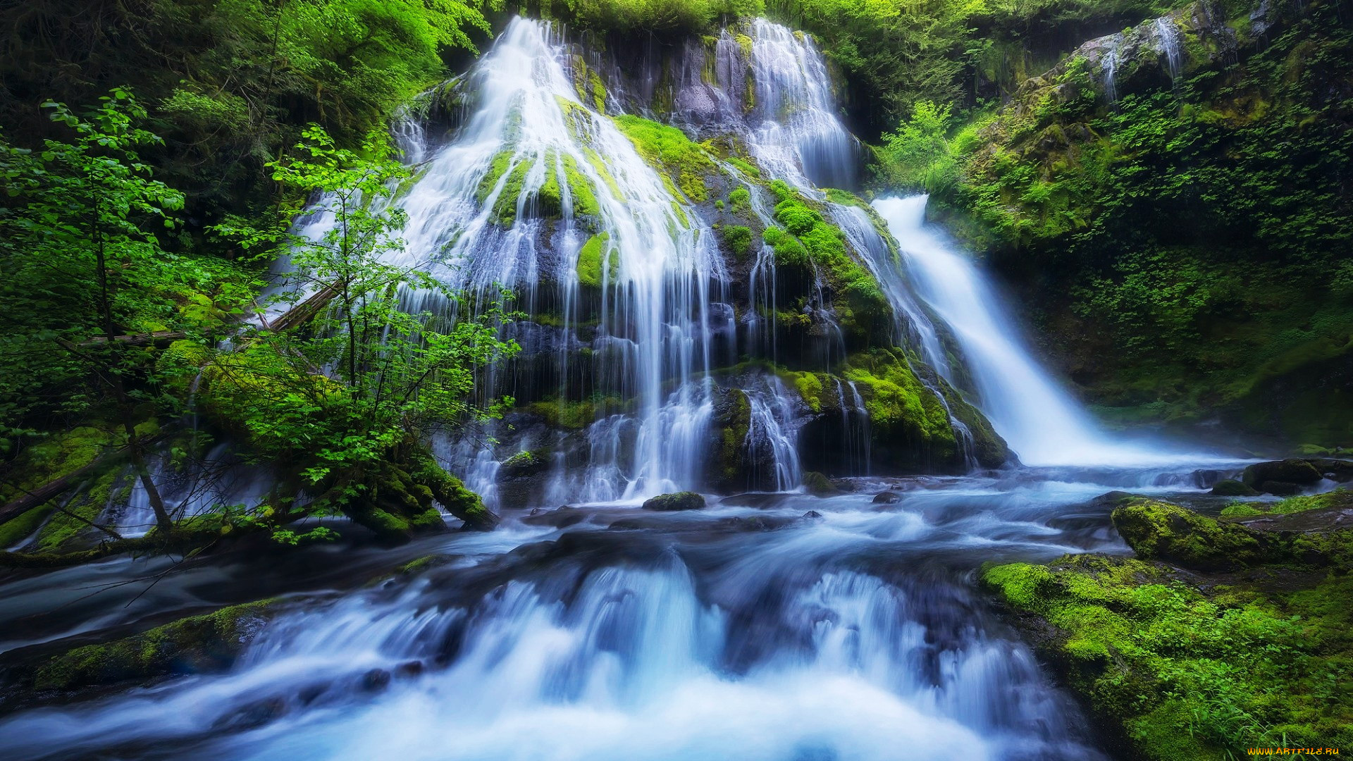 panther, creek, falls, columbia, river, gorge, washington, природа, водопады, panther, creek, falls, columbia, river, gorge