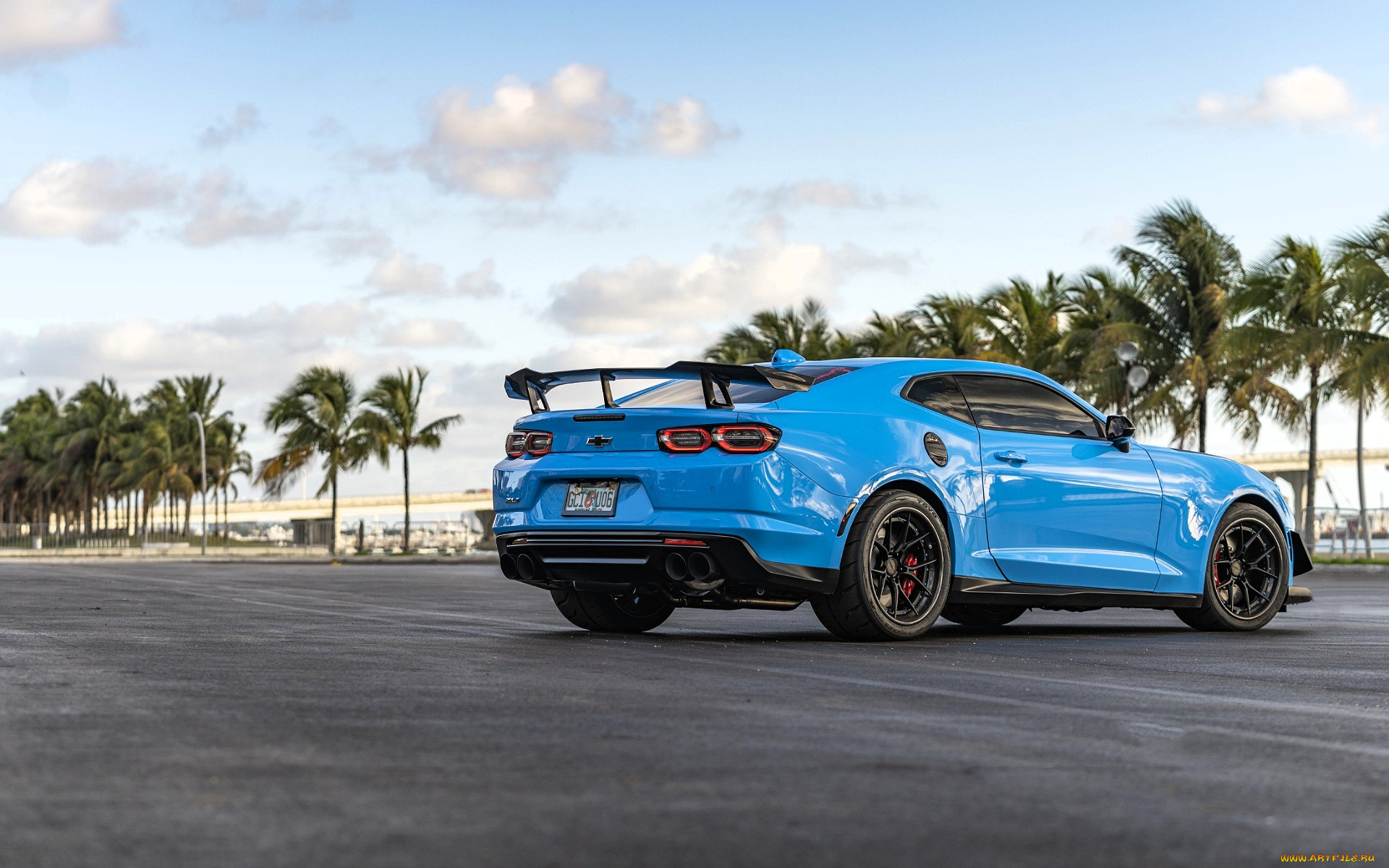chevrolet, camaro, автомобили, camaro, голубой, дорога, пальмы