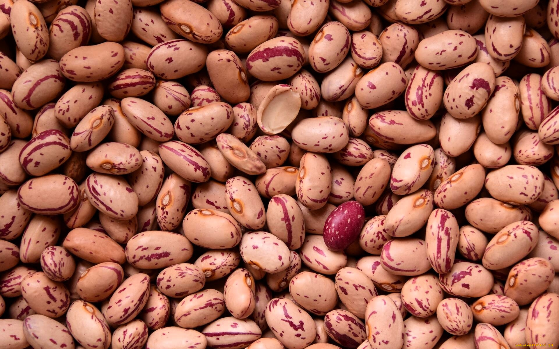 еда, бобовые, фасоль, россыпь