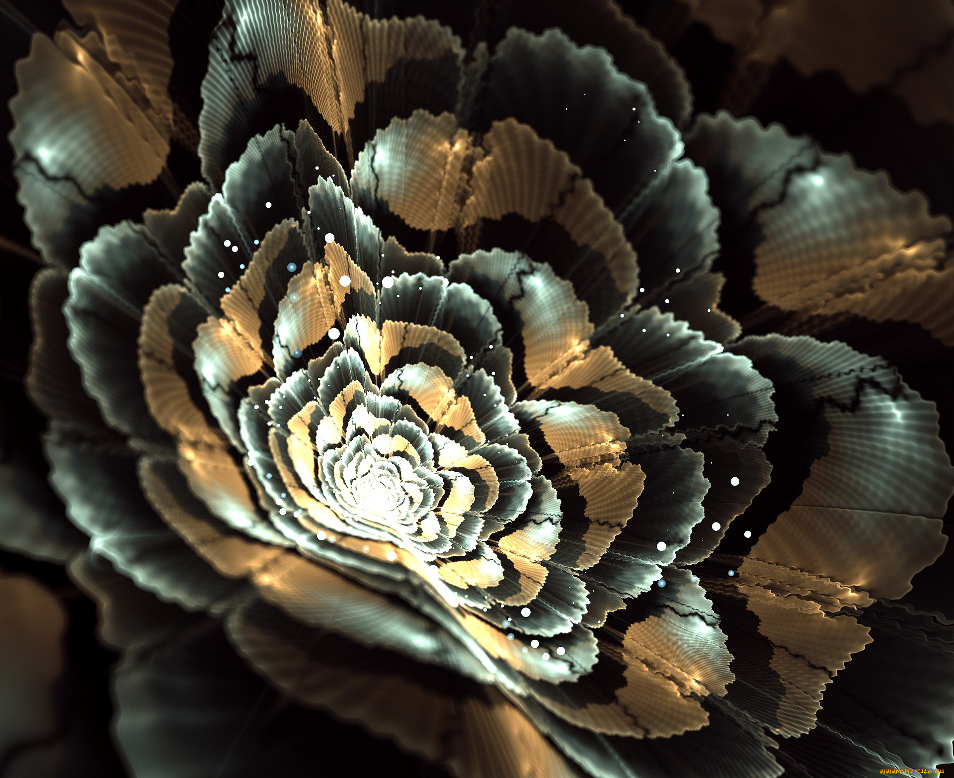 3д, графика, цветы, , flowers, цветок, свет