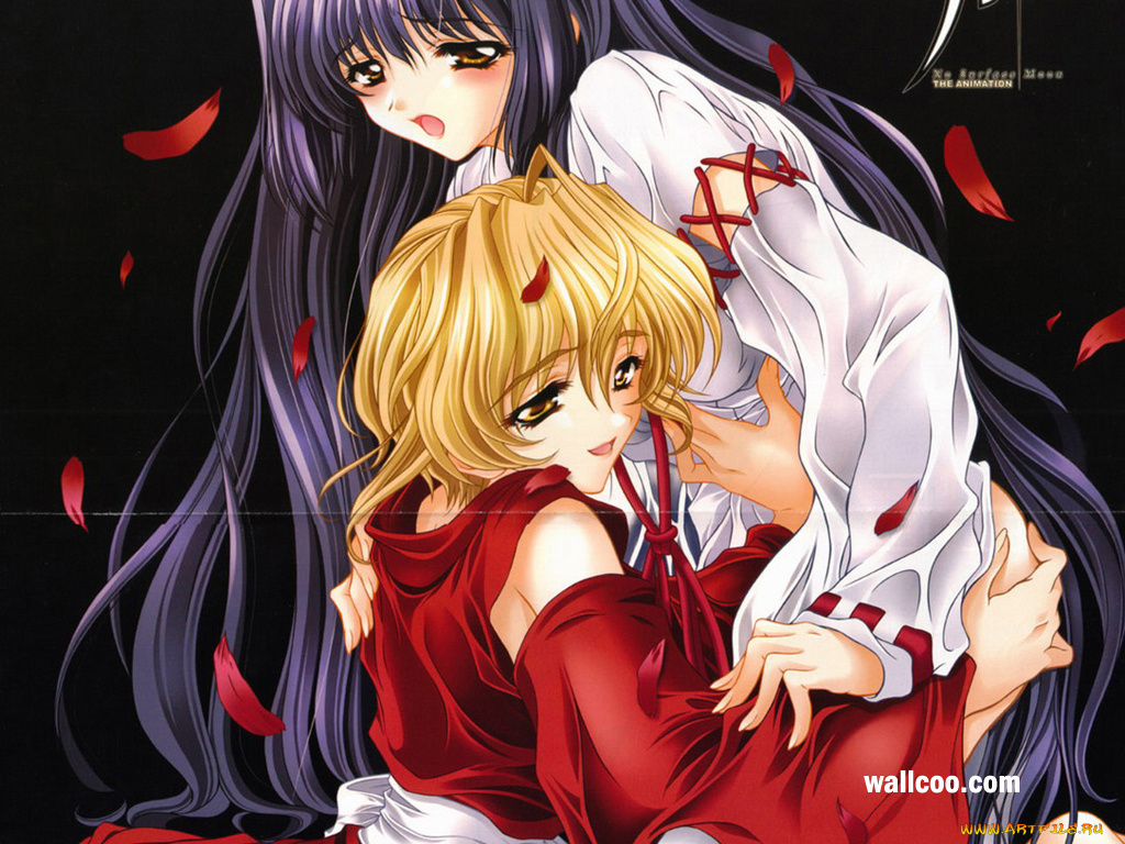 аниме, moonlight, lady