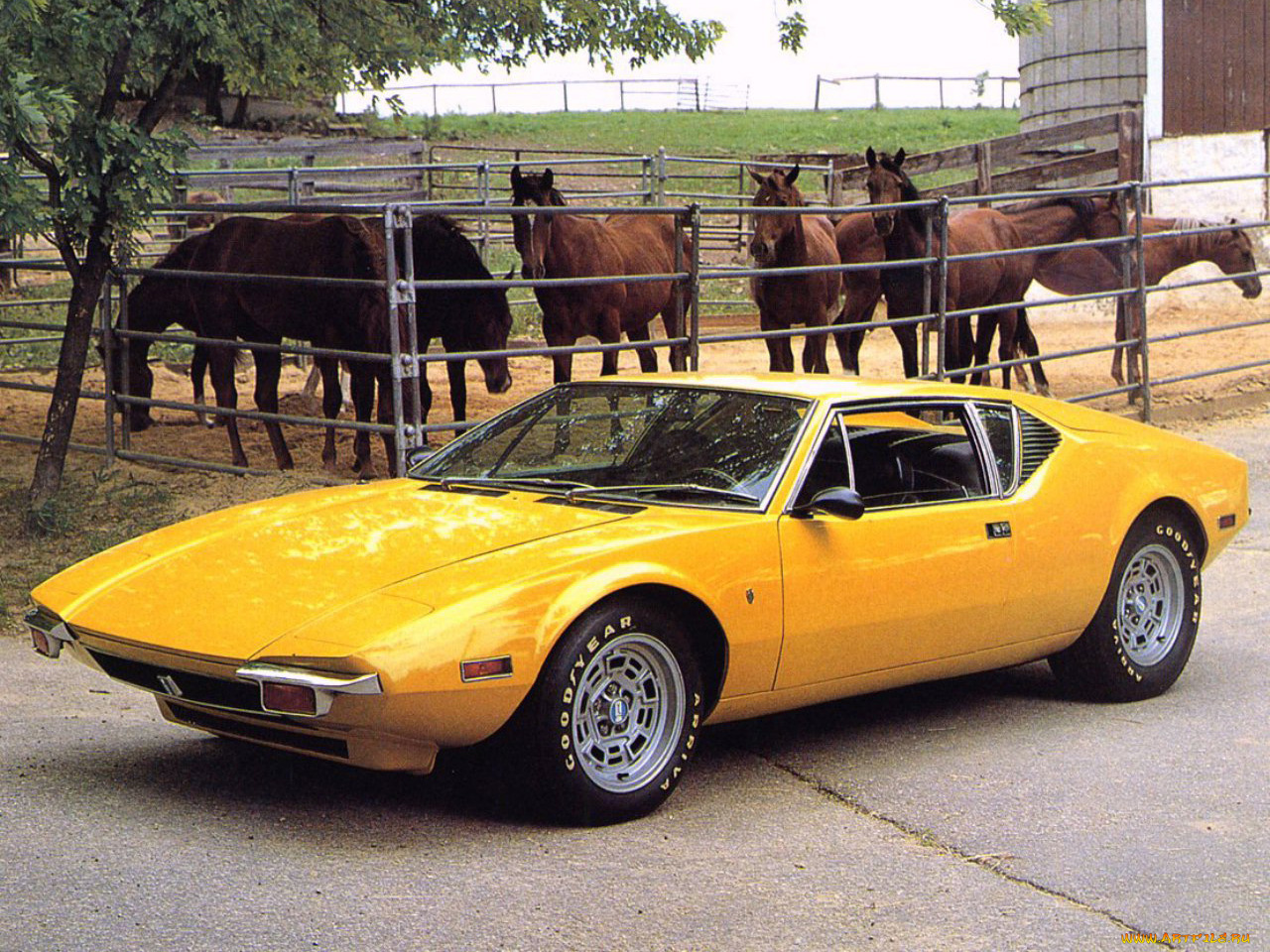 автомобили, de, tomaso