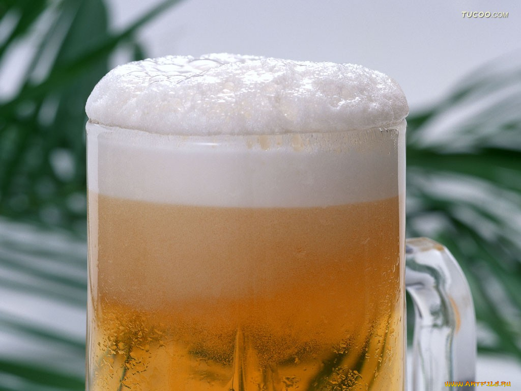 еда, напитки, пиво