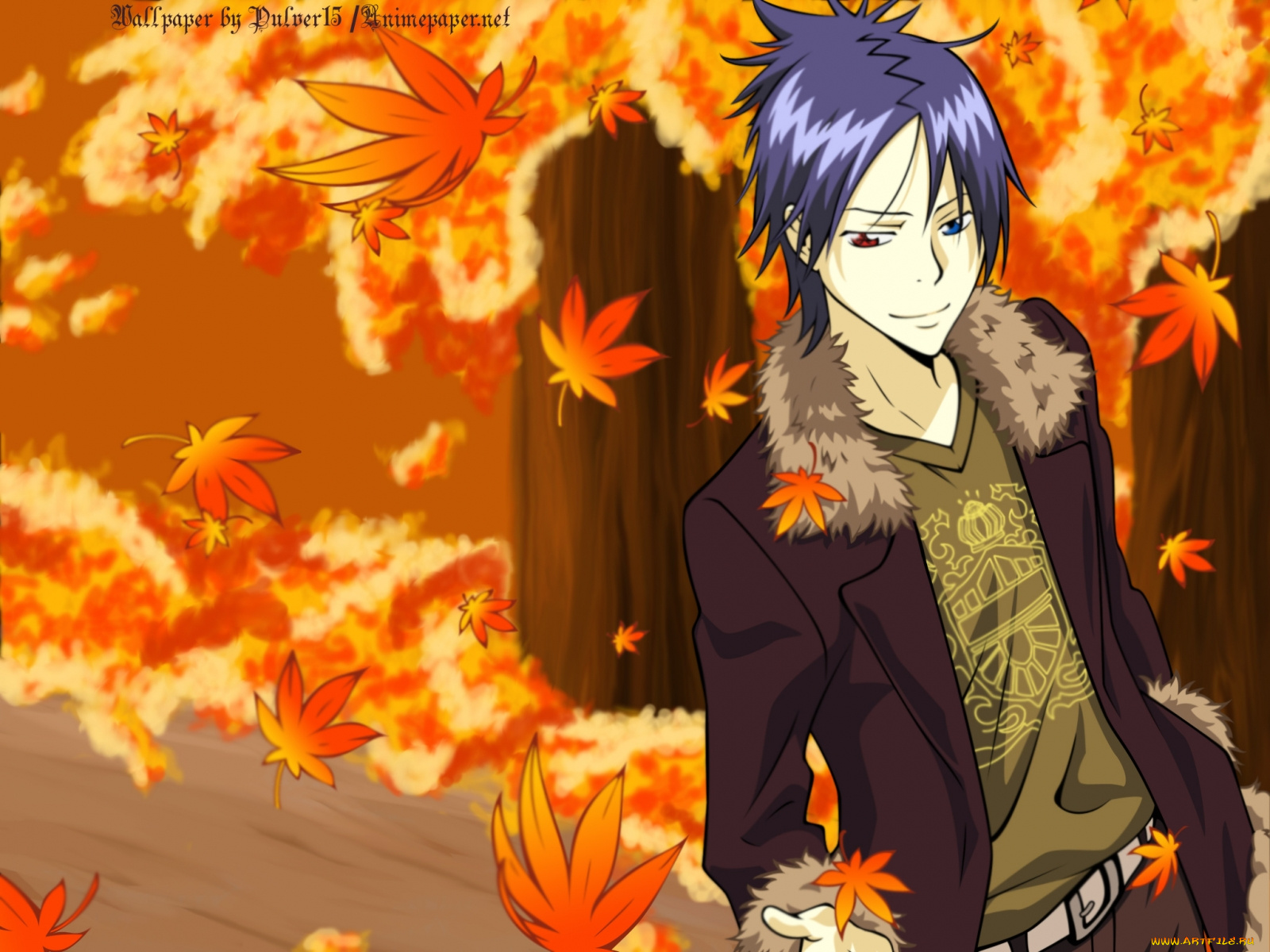 аниме, katekyo, hitman, reborn