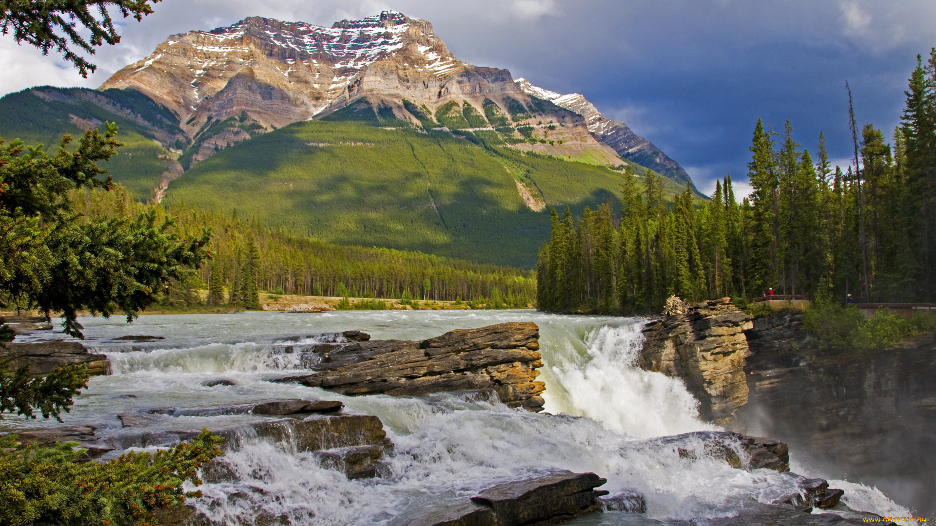 banff, canada, природа, водопады, река, горы, лес