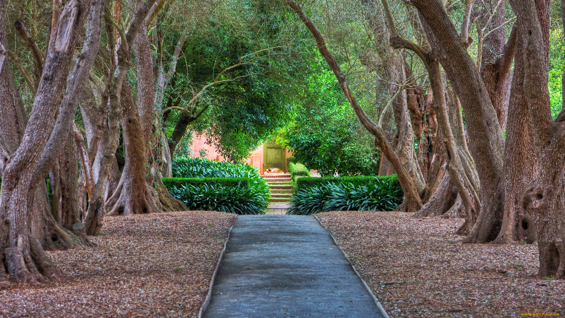 hidden, path, природа, парк, листва, дорожка, дереввья