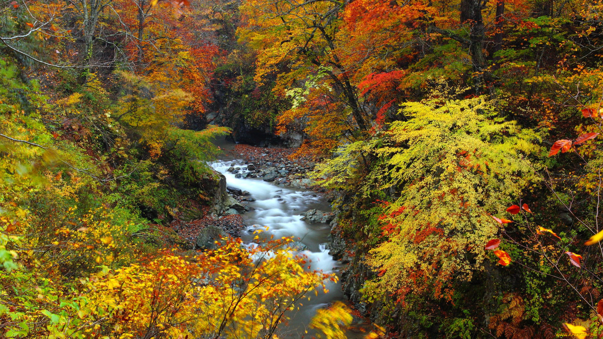 природа, реки, озера, лес