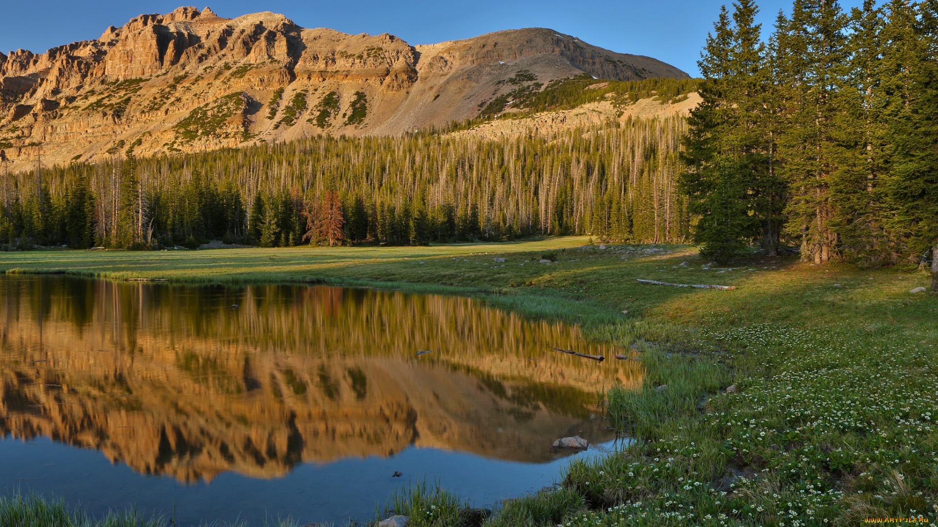природа, реки, озера, лето, небо, лес, цветы, трава, озеро, горы, отражения
