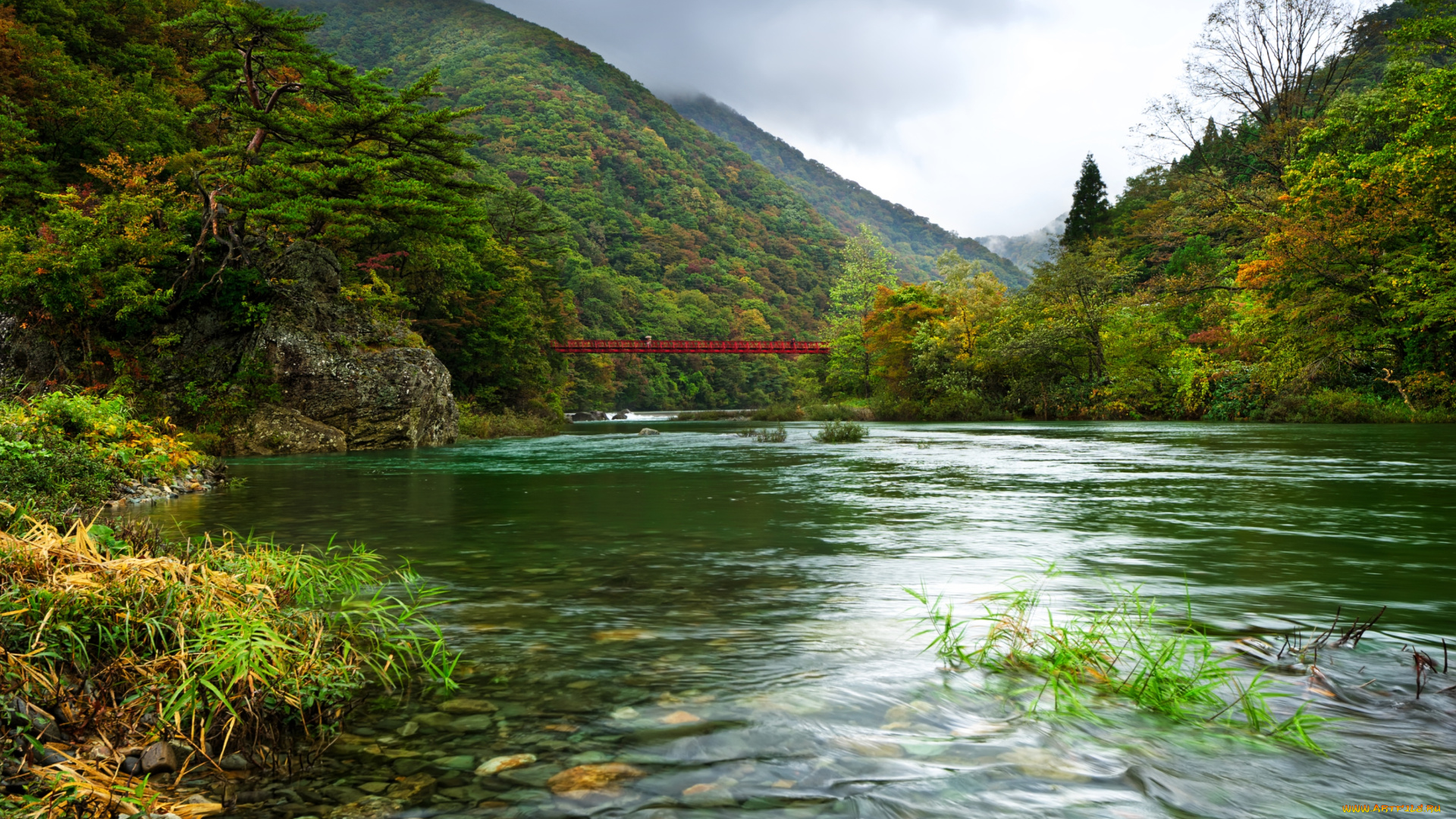 природа, реки, озера, вода, течение, мост, лес, горы