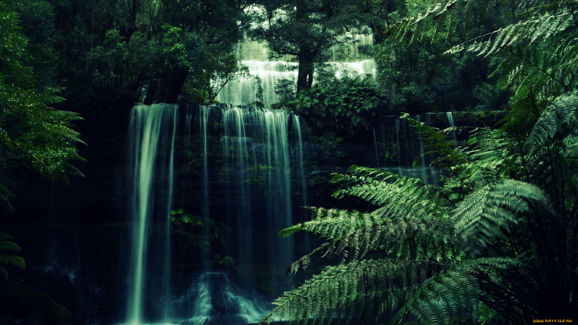 природа, водопады, джунгли, тропики, водопад