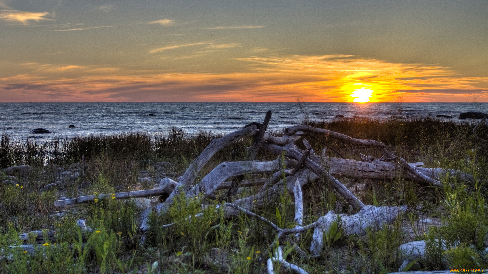 природа, восходы, закаты, берег, трава, коряги, закат, море