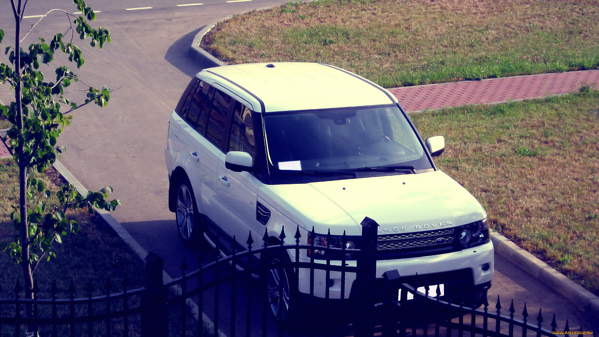 range, rover, sport, new, 2012, автомобили, land