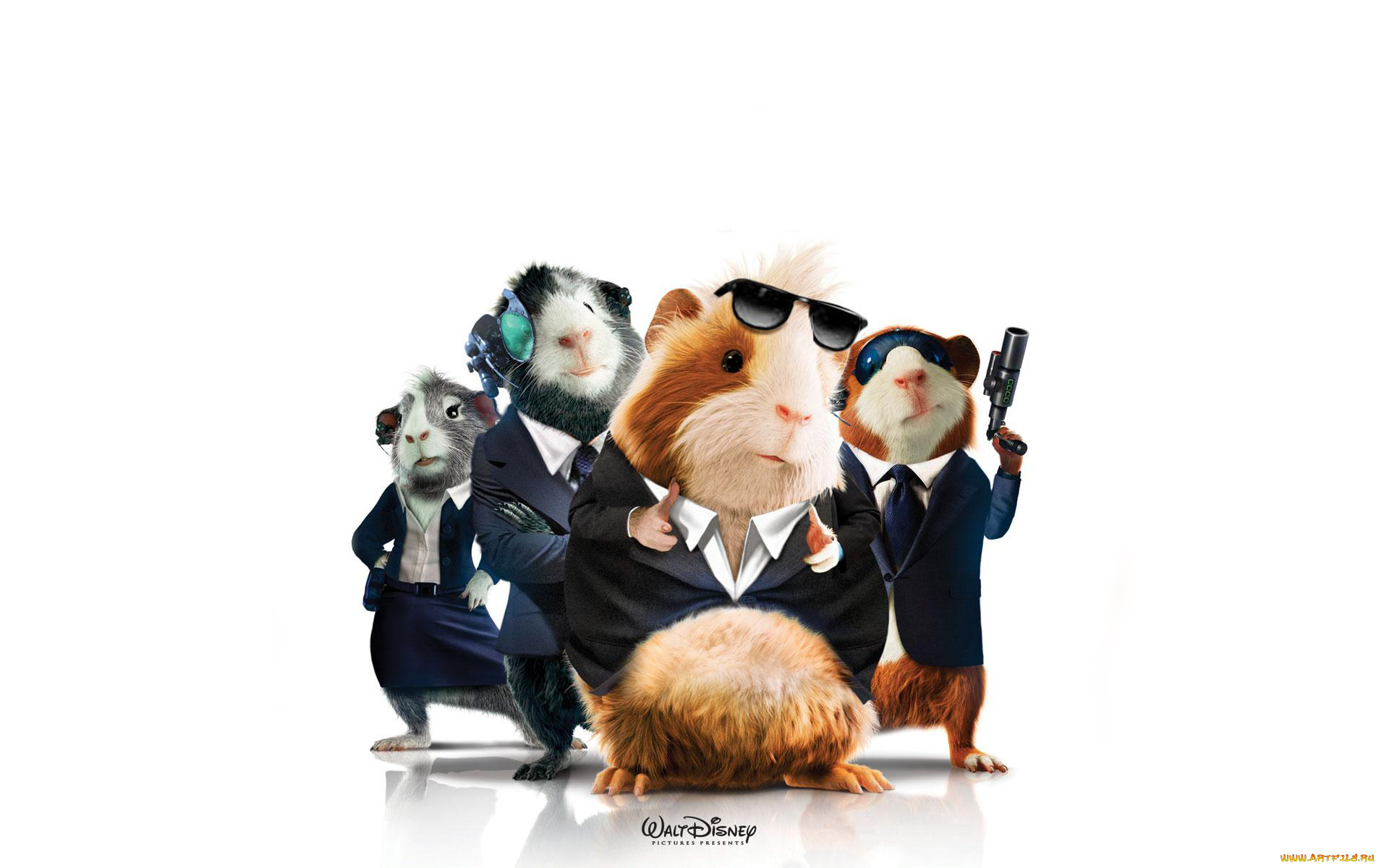 миссия, дарвина, мультфильмы, force, грызуны, g