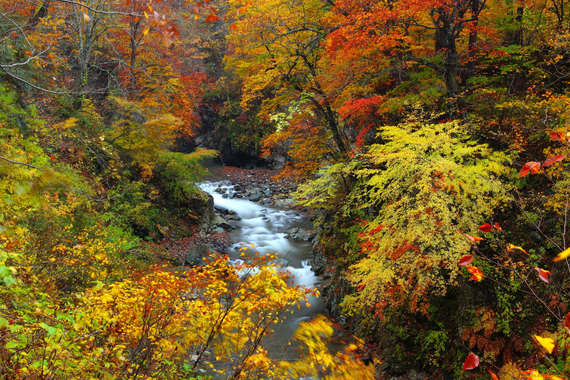 природа, реки, озера, лес