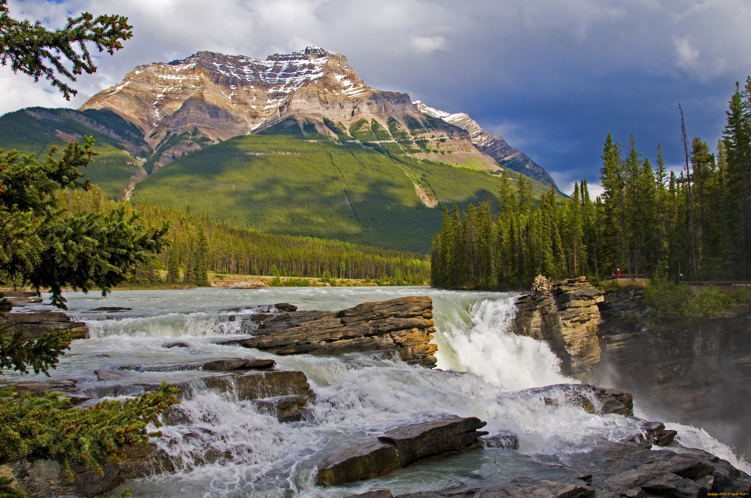 banff, canada, природа, водопады, река, горы, лес