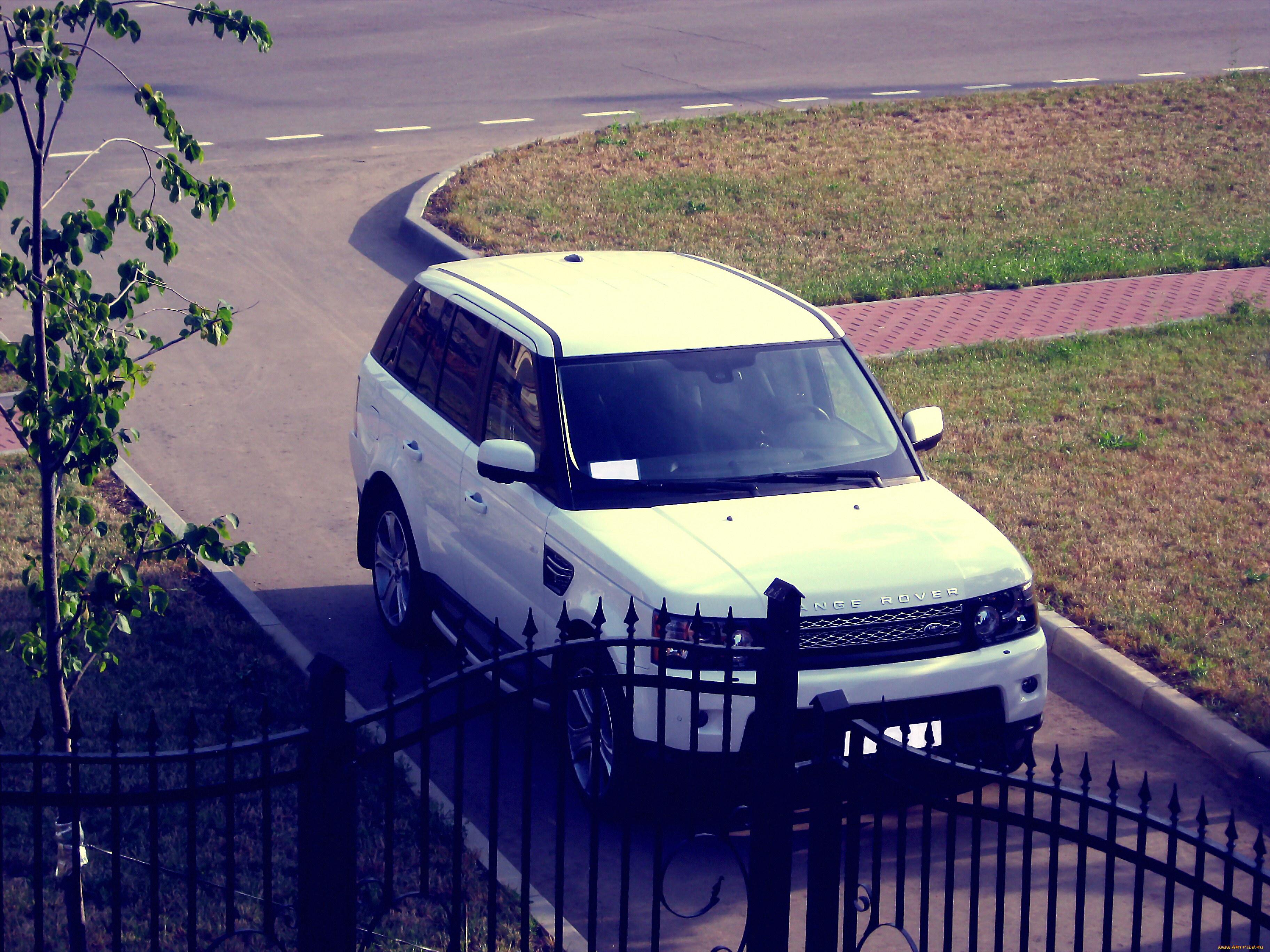 range, rover, sport, new, 2012, автомобили, land