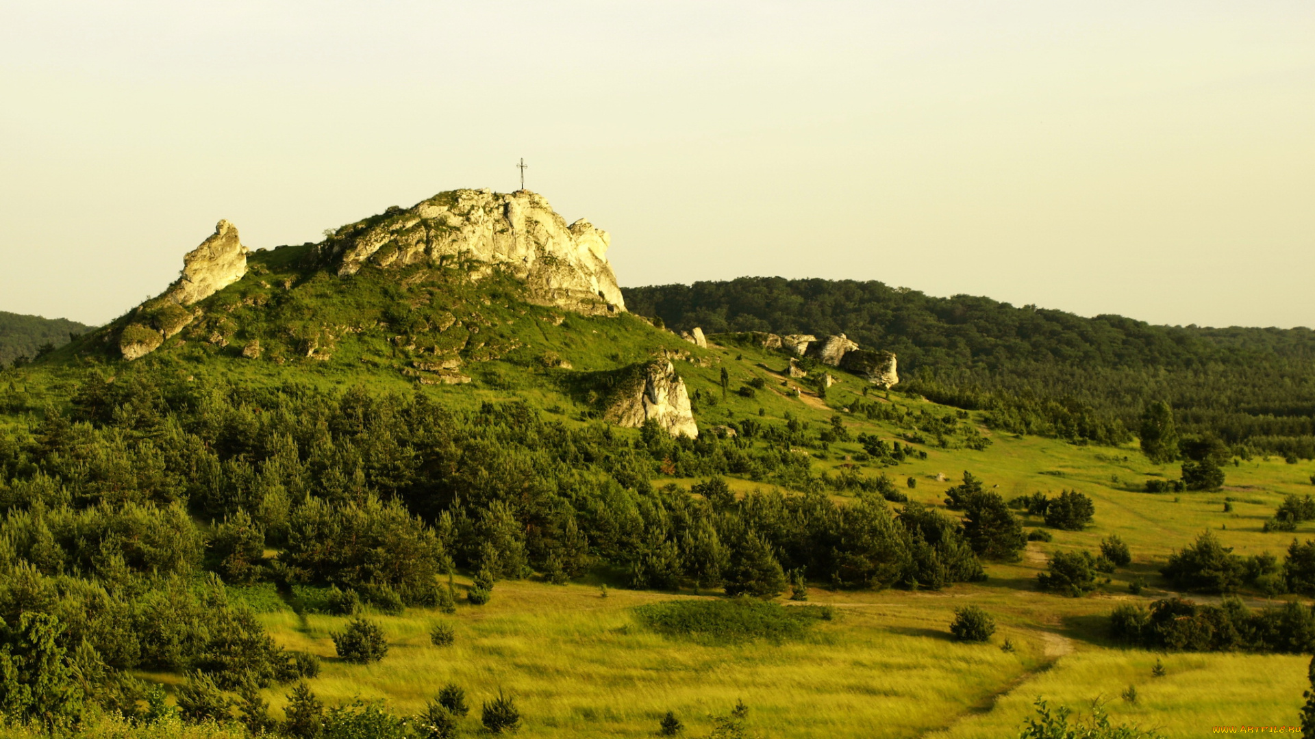 буковина, татшаньская, польша, природа, горы, долина, лес