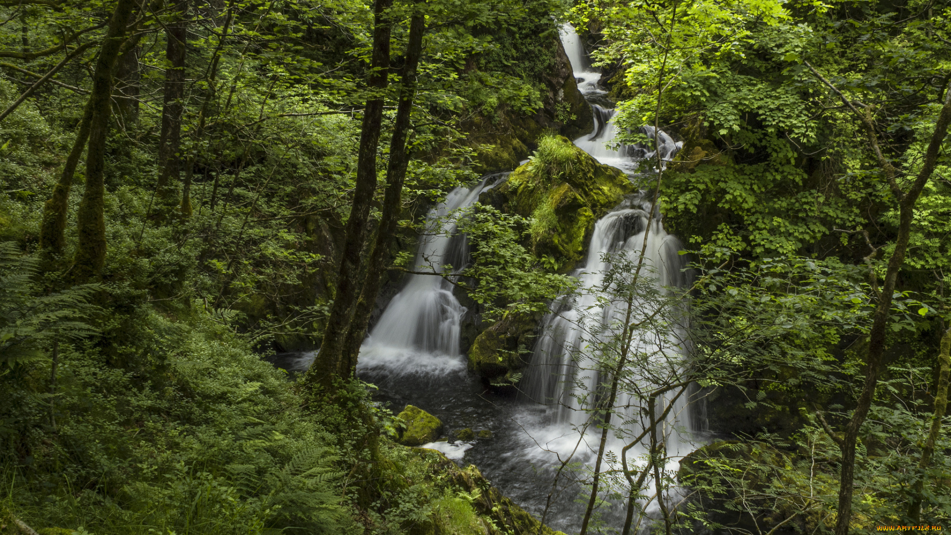 colwith, force, england, природа, водопады, river, brathay, lake, district, англия, лес, река