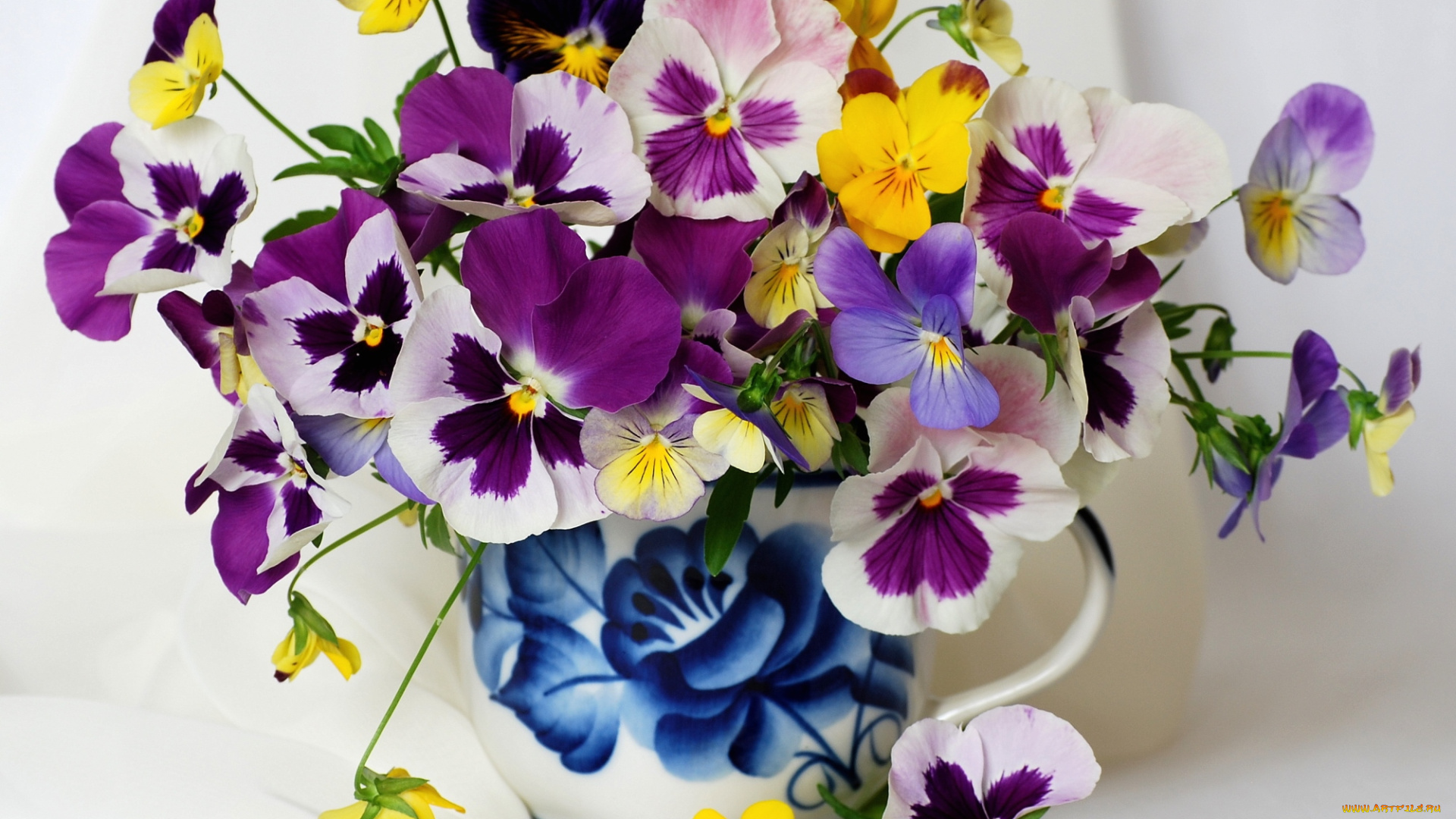 цветы, анютины, глазки, садовые, фиалки, кувшин, разноцветный, яркий