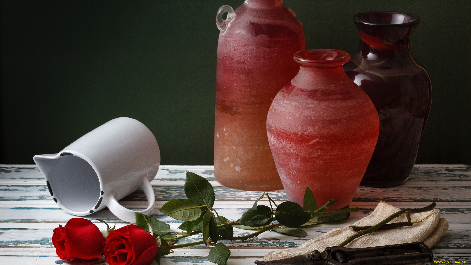 цветы, розы, горшки, секатор, стебли