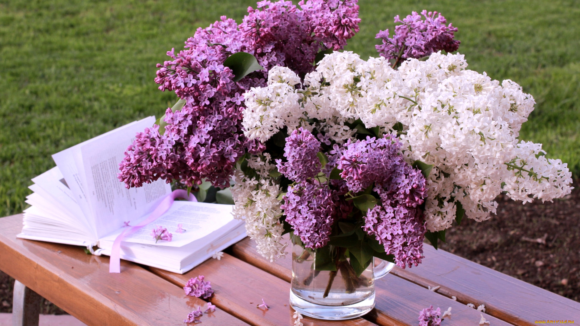 цветы, сирень, букет, книга