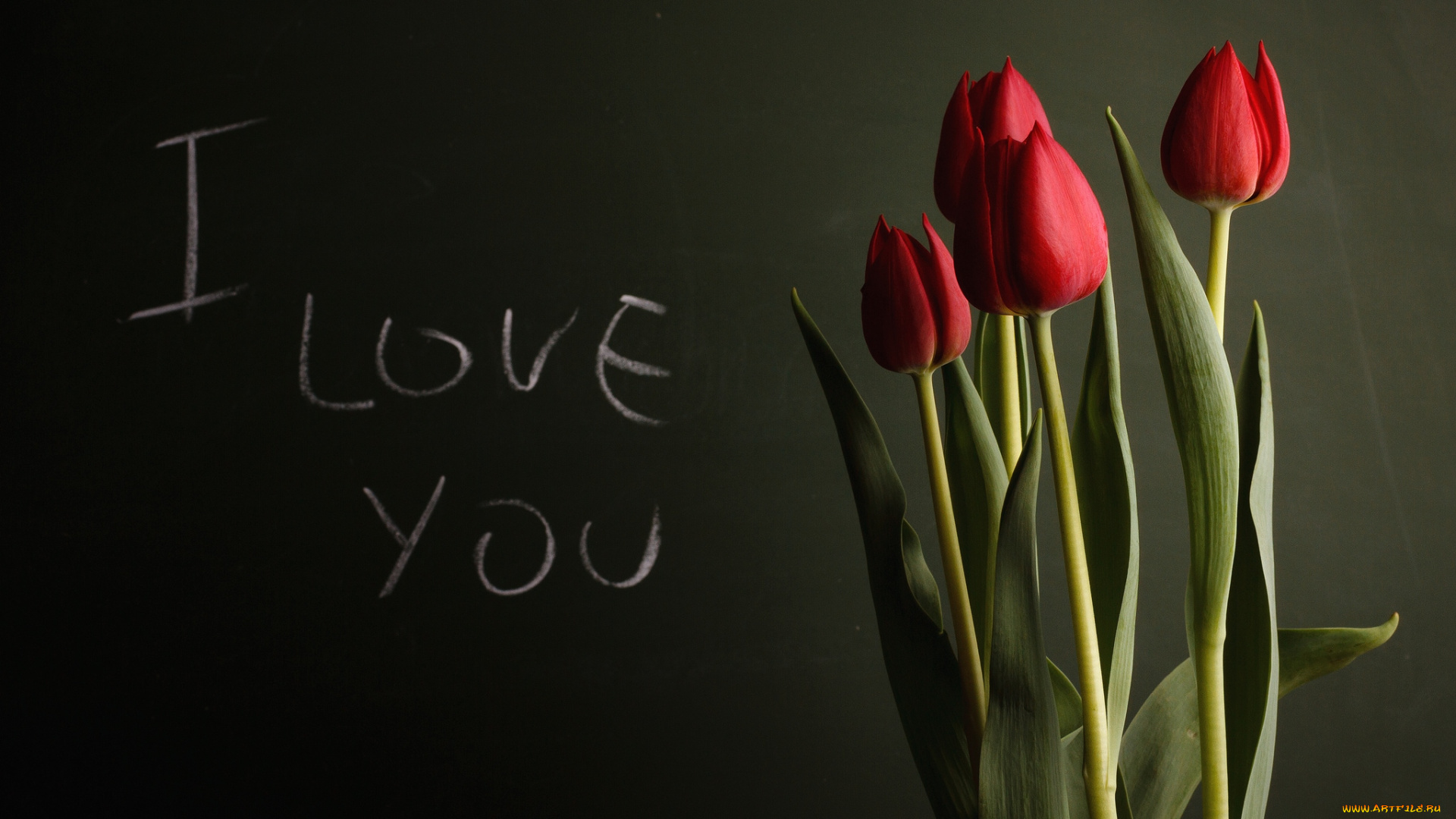 цветы, тюльпаны, красный, надпись, признание