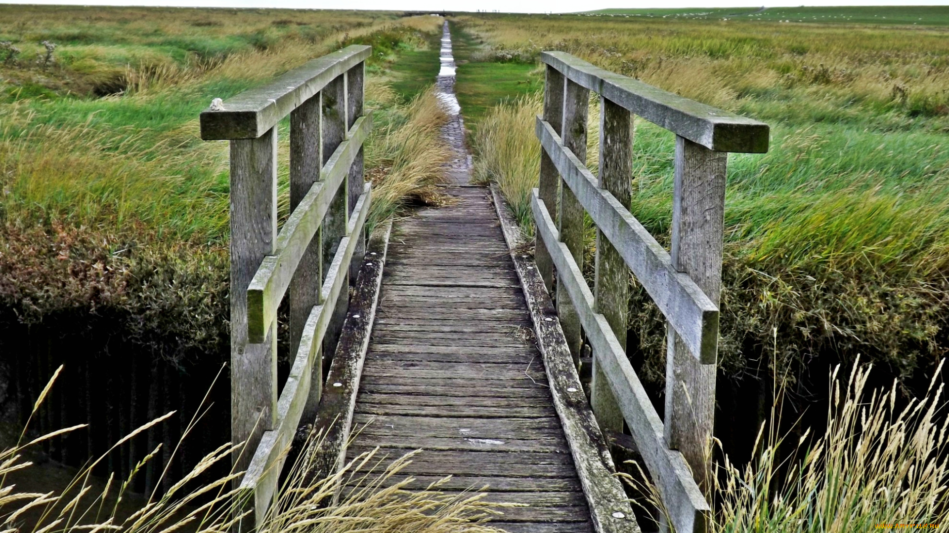 природа, дороги, поле, ров, мостик, дорога, трава