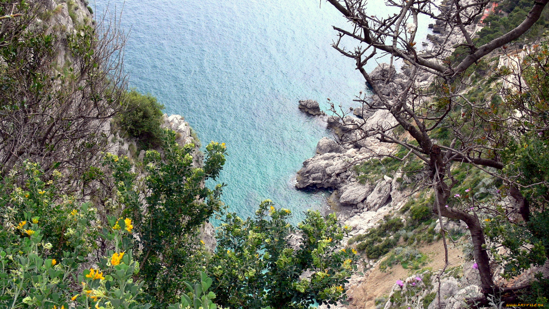 природа, побережье, камни, скалы, море, растительность