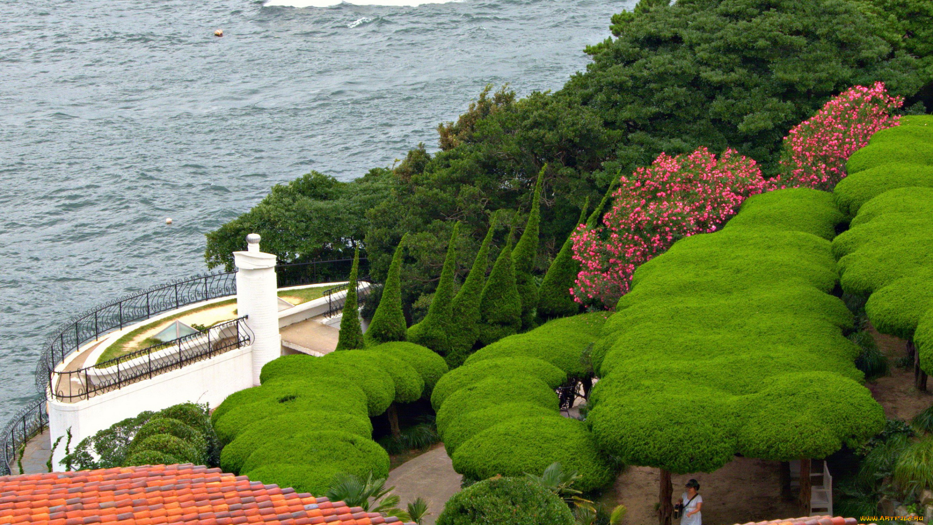 южная, корея, oedo, botanical, gardens, природа, парк, море, растения, сад