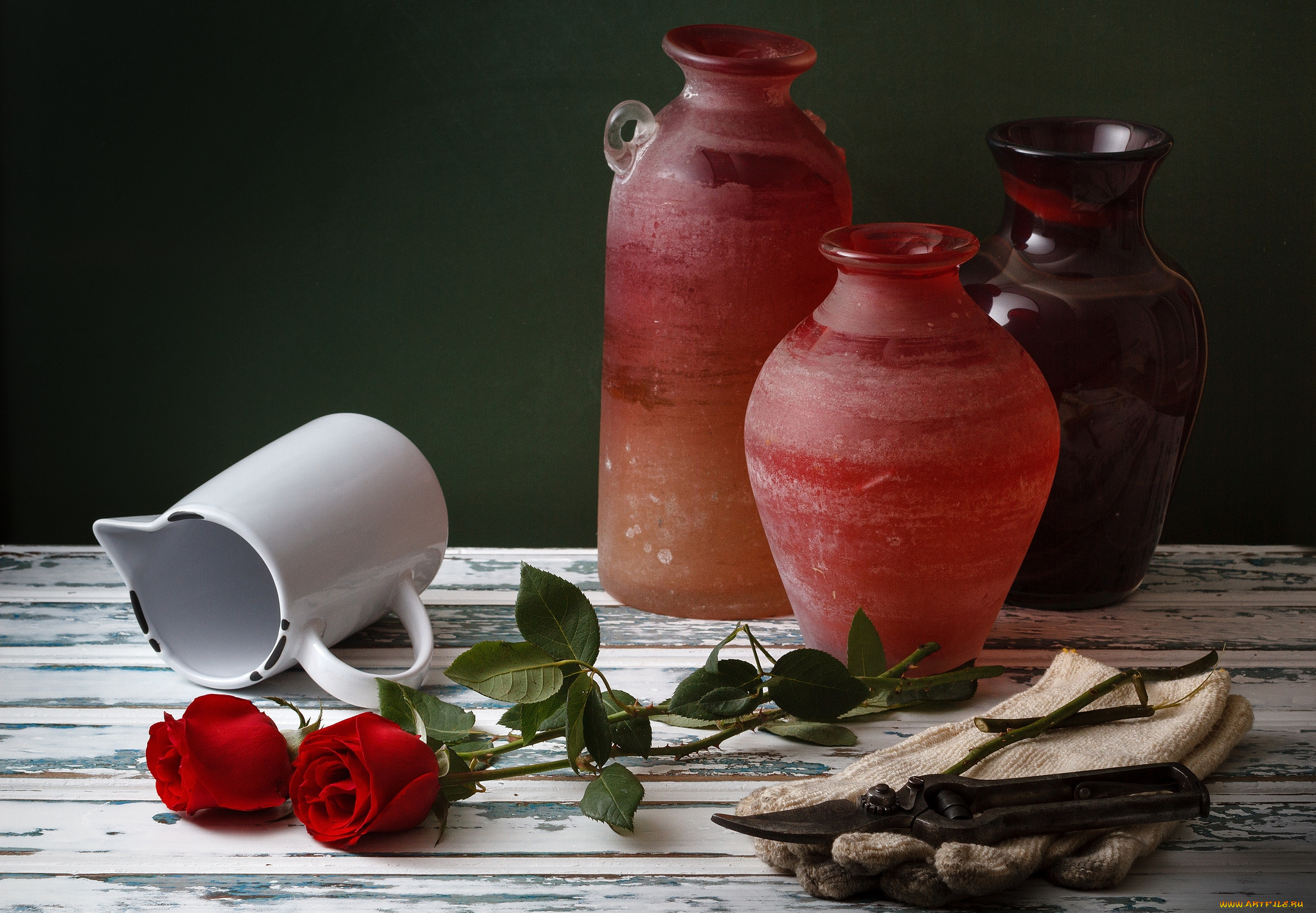 цветы, розы, горшки, секатор, стебли